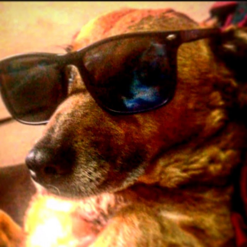 Ron Punk