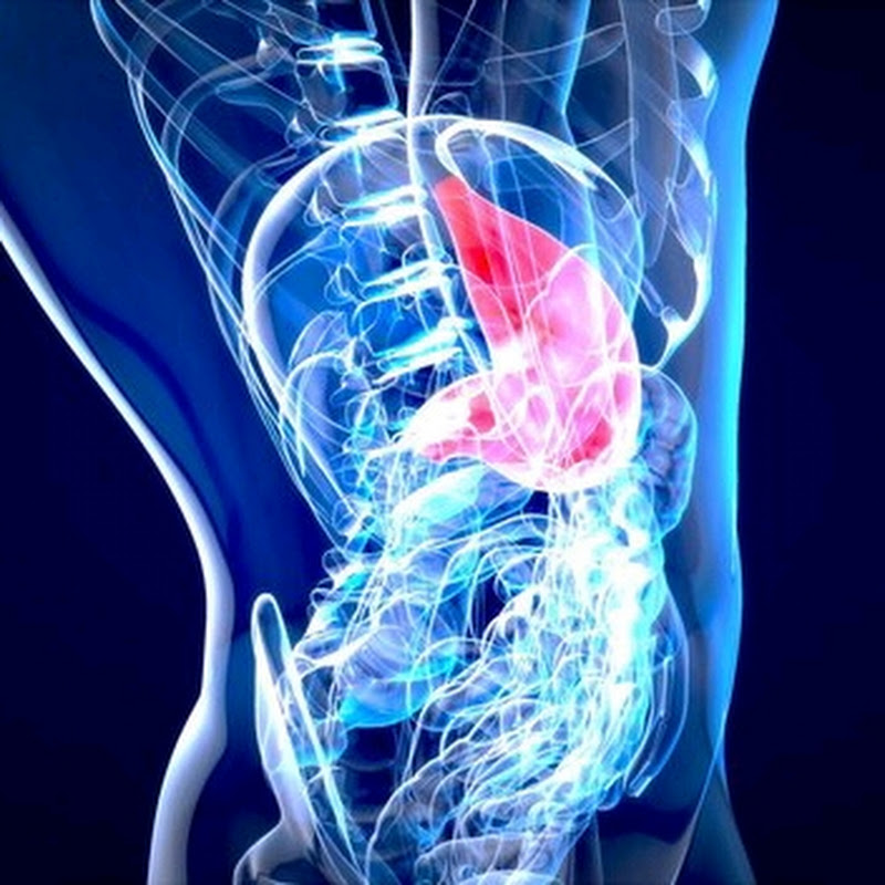 Liver Lite Living