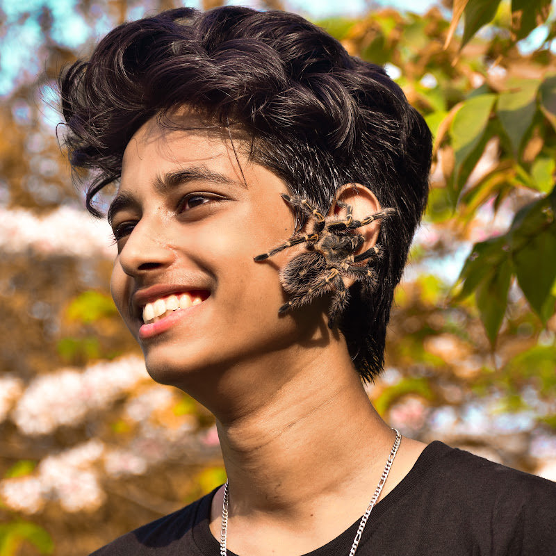 Rehan Khan vlogs