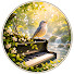 IL9p45Aa4QI-channel-avatar-Birdsong Piano Serenity