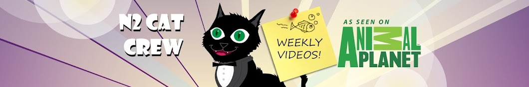 N2 Cat Crew YouTube channel avatar