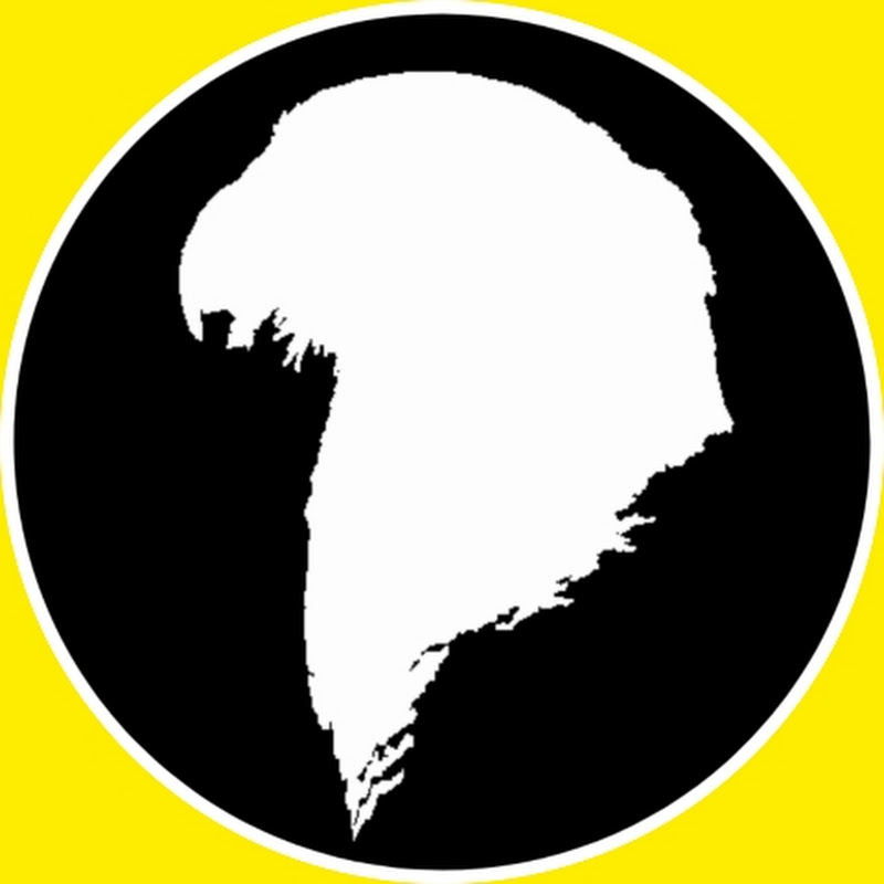 The Traro Division