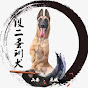 k9vlog logo