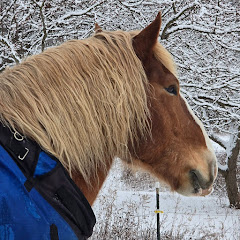 Sir Clancelot, King of the Belgians