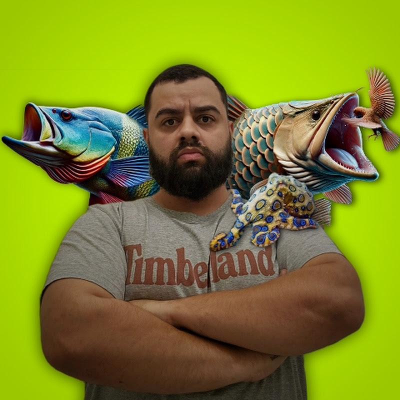 Monster Aqua Brasil
