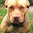 @bradfenwick7611 Avatar