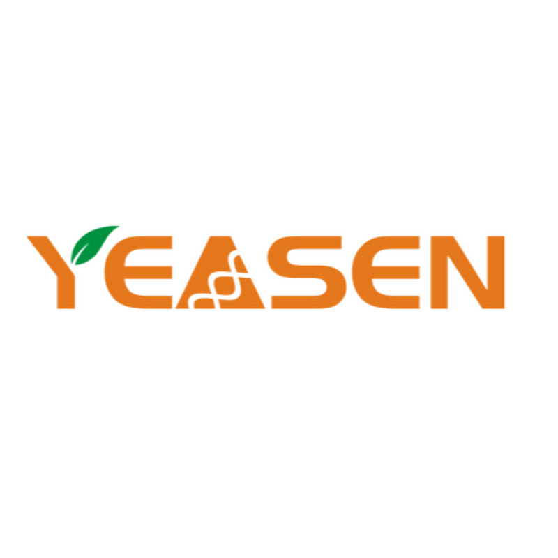 Yeasen Biotech