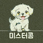 미스터콩 (Mr.KONG) logo