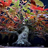 V24tohYRRyg-channel-avatar-Bonsai Bossa