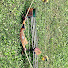 OzwBAQdZbl8-channel-avatar-Dtune Outdoors 