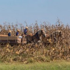 Amish of Ethridge TN