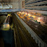 owknh1bfyQw-channel-avatar-Worthington Model Railway