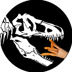 4K UNIVERSAL TV net worth