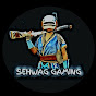 Sehwag Gaming