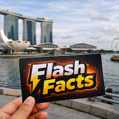FlashFacts 