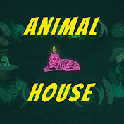 Animal house - Channel of Amazing Animals Secret