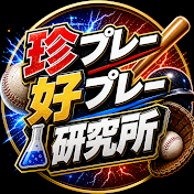 珍プレー好プレー研究所