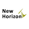 What could New Horizon TV buy with $100 thousand?