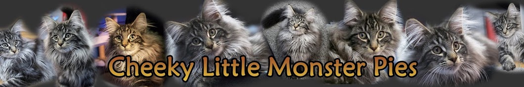 Cheeky Little Monster Pies رمز قناة اليوتيوب