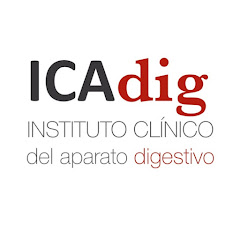 Instituto Clínico del Aparato Digestivo