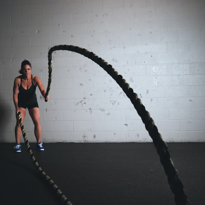 Fitness Freaks