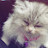 @ll.xxxxhh