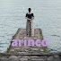 jhbyyuFGrcw-channel-avatar-のんびりふくまる→arinco