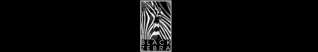 BLACKZEBRA YouTube channel avatar