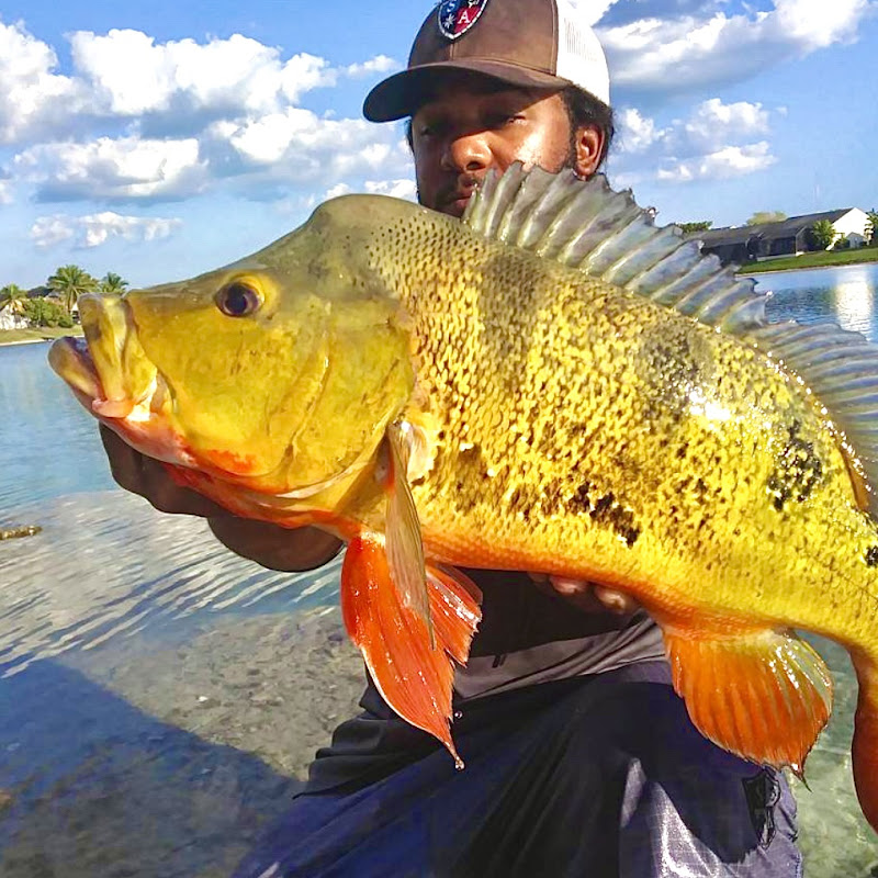 Monster Mike Fishing