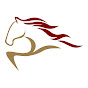 Iron Stallion Logistics VTC logo
