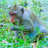 2Kk4joPjvEA-channel-avatar-The Wild History