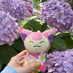 す