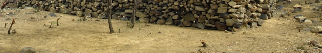 Cabras de Villaraure Avatar de canal de YouTube