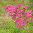 @user-gusrma10djr