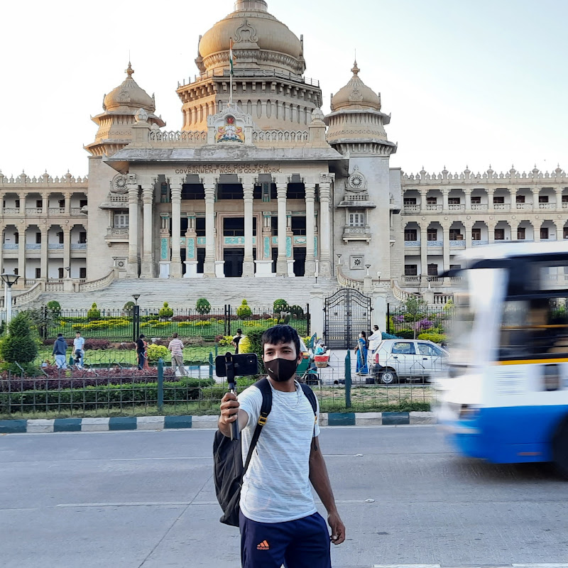 GO Crazy bro