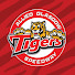 U9CvRPXWmac-channel-avatar-Glasgow Tigers