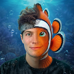 Lowkey Fish 🐠