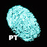 AMUT-5yRWs8-channel-avatar-Forgotten Lives em Português