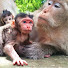 VVwkCyGmWy0-channel-avatar-Adorable Monkey
