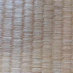 オーロラソース