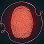 Bloodline Interrogations Avatar