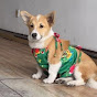 Corgi Croon logo