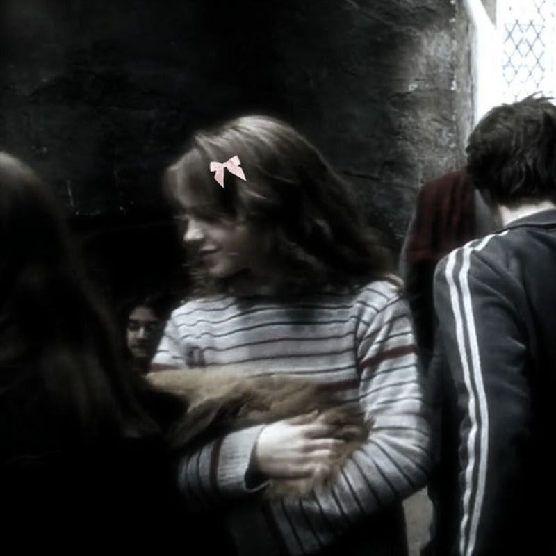 potterheadforlifee<3 Logo