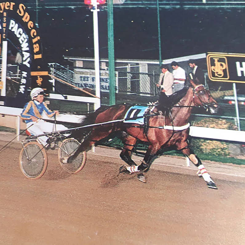 Post from Marco Reviews Harness Racing