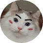 milkymilkyisacat3154
