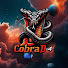 QEH2A1bw4W0-channel-avatar-CobraD-4