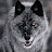 @grey_wolverine63