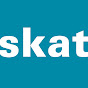 Skat Consulting Moldova logo