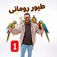 طيور رومانى 1 Romany birds