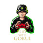 Play With Gokul logo